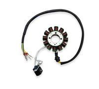 Bobina Estators para ZONGSHEN ZS174MN-5 NB300 ZS174MN-3 CBS300 Motocicleta 12 8 Polos Magneto Volante Rotor Generador Encendido Estator Bobina Magnético Encendido Estator(3)