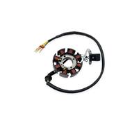 Bobina Estators para ZONGSHEN ZS175FMN ZS172FMM-5 PR300 PR250 Motocicleta Generador Estator Magneto Estator Montaje Motor Bobina Encendido Magnético Encendido Estator(8 Pole Stator Coil)