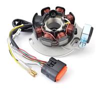 Bobina Generador Compatible Con Gas Gas Para EC200 Para EC250 Para EC300 2005 2006 2007 2008 Reemplazo De La Bobina De La Placa Del Estator Del Magneto De La Motocicleta ME250534005