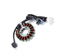 Bobina Generador Compatible Con Yamaha Para TTR250 Para TT-R 1999 2000 2001 2002 2003 2004 2005 2006 4GY-81410-01-00 Bobina Del Estator Del Generador Del Motor Magnético Motocicleta