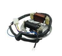Bobina magnética del estator de encendido con reemplazo de placa para el kit de rotor interno AX100 Compatible con 2 tiempos 100cc 100 2T FR80