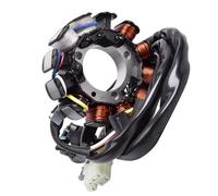 Bobina Magnética Estator Para CRF450X 2005 31120-MEY-672 Bobina De Estator De Generador De Motocicleta Placa De Estator De Magneto De Motocicleta Accesorios De Bobina De Encendido