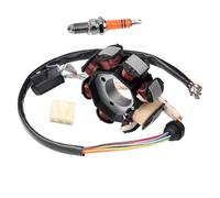 Bobina Magneto Encendido Estator para CG 200 150 125 250cc Accesorios De Motocicleta Vehículo Todoterreno ATV Motor De Playa Pieza De Estator De Bobina Magneto