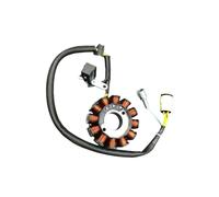 Bobina Magneto Encendido Estator para SM-Motors para GR7 GR8 - NC250 NC250S NC300S NC450 Kit De Montaje De Bobina De Generador De Estator Magnético De Motocross De Alto Rendimiento
