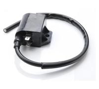 Bobina magneto estator motor Para Italjet Para Mula 50 AC LC Para Velocifero 50cc Motocicleta CDI Caja Encendedor Bobina De Encendido Piezas