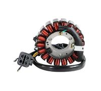 Bobina Magneto Stator Reemplazo para Adly para ATV 300 para Hurricane para Interceptor 300U II 300XS para Assault 31120-169-001 Bobina Estator Generador Encendido Motocicleta