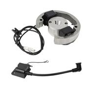 bobina motor Kit de bobina encendido, estator, rotor, magneto y volante compatible con KTM50, KTM 50, SX, cc, Junior, SR, JR, SX50