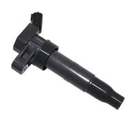 Bobinas de Encendido compatibles con Hyundai Genesis (2012-2014) y Equus (2009-2017): 273003F100 y 273002G700 (1 Unidad).