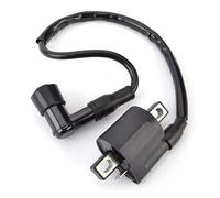 Bobinas De Encendido Conjunto Bobina Encendido para YFM250 YFM350 Big Bear 350 YFM80 YFM125 YFM400F para Grizzly 80 para 125 400 2X4 4X4 YFM 250 350 80 Bobina Encendido Motocicleta