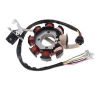 Bobinas De Encendido Para CG 125 Para CG-125 Para CG125-8 150 Cc 250 Cc Motocross Bobina De 8 Polos Encendido CA Magneto Estator Accesorios De Motocicleta Bobina De Estator Motocicleta