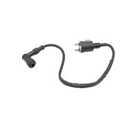 Bobinas Encendido Motor Para Zipp Para Astec Para Axis Para Basic Para Parco Para Quantum Para Triad Para Steed Para Vapor Bobina De Encendido Motocicleta