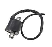 Bobinas Encendido Para CG125 Para ZJ125, Bobina Encendido Motor Motocicleta, Conjunto Motocicleta, Módulo Bobina Encendido Motocicleta Accesorios Motocicleta