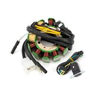 Bobinas Estator Magneto Bobina De Estator Magnético para Generador De Motocicleta para CB 250 Nighthawk Two Fifty Police/CMX 250 250X para Rebel / CMX250X CB250 CMX250