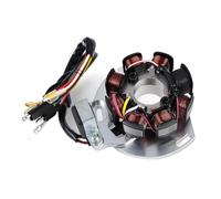 Bobinas Estator Magneto Bobina De Estator para Gas Gas SM125 SM250 SM EC 125 250 EC125 EC200 EC250 EC300 Wild 300 2003-2004 Bobina Magneto Generador De Encendido