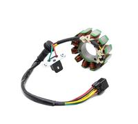 Bobinas Estator Magneto Bobina Estator Magnético Motocicleta para Suzuki para RMZ250 para RMZ 250 2010-2013 para RMZ450 2008-2012 OEM 32101-28H00 32101-28H10 32101-28H11 Bobina de estator