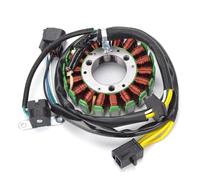 Bobinas Estator Magneto Para Suzuki Para DRZ 400 Para DRZ400E Para DRZ400SM 32101-13E00 32101-13E02 32101-13E03 32101-29F00 32101-29F10 Bobina Estator