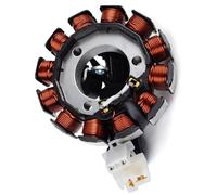 Bobinas estator motocicleta Compatible Con Yamaha Para CZD250 Para XMAX250 2018-2024 Para CZD300 Para Evolis300 2017 Para Xmax250 Bobina Magneto Estator
