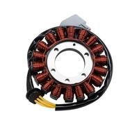Bobinas Generador estator Bobina de estator Magneto generador para S1000XR K69 2018-2019 12318396695 Bobina de estator Magneto de Bobina de Encendido de Motocicleta