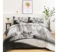 Boceto A Lápiz Edredón Acolchado Cama 135/150 220 x 240 cm Paisaje Urbano Animal Gato Ligero y Cálido Edredóns Nórdico Estampado, En Blanco Y Negro Adecuado para Cualquier Temporada Edredón sin funda