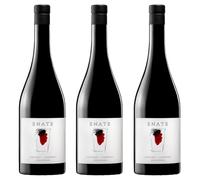 Bodega Enate - Cabernet-Cabernet - Pack 3 Botellas de 75 cl - Vino Tinto con D.O. Somontano - Notas de Frutos Rojos - Notas Balsámicas, Fenólicas y Especiadas - Cabernet de Matices Tostados y Cremosos