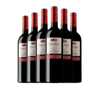 Bodegas Aragonesas Coto de Hayas Campo de Borja Crianza 75 cl Vino tinto (Caja de 6 Botellas de 75 cl)