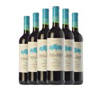 Bodegas Aragonesas Coto de Hayas Campo de Borja Crianza 75 cl Vino tinto (Caja de 6 Botellas de 75 cl)