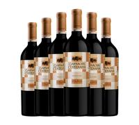 Bodegas Aragonesas Coto de Hayas Centenaria Garnacha Campo de Borja Crianza 75 cl Vino tinto (Caja de 6 Botellas de 75 cl)