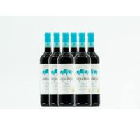 BODEGAS ARAGONESAS - COTO DE HAYAS CRIANZA | Vino tinto D.O Campo de Borja | Elaborado a partir de Garnacha (60%) y Tempranillo (40%) | Caja de 6 Botellas - 0,75L/botella