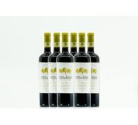 BODEGAS ARAGONESAS - COTO DE HAYAS VIÑAS DEL CIERZO | Vino tinto D.O Campo de Borja | Elaborado 86% Garnacha, 10% Syrah y 4% Mazuela | Caja de 6 Botellas - 0,75L/botella