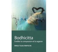 Bodhicitta: Eveiller la compassion et la sagesse: 4 (Lazy Lama Série)