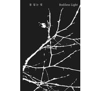 Bodiless Light: Essays on Contemporary Art, Consciousness, and Creative Practice