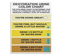 Body Hydration Guide Urine Color Chart Health Poster Canvas Wall Art for Office Gym Decor(Framed,12x18inch(30x45cm))