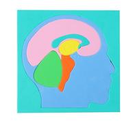 Body Parts Puzzle - EVA Assembly Science Brain Model For Learning | Mixed Color Material with Human Brain Jigsaw Design, Educational Puzzle For School Indoor Kindergarten Travel