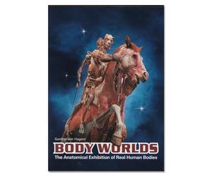 Body Worlds The Anatomical Exhibition of Real Human Bodies - DVD