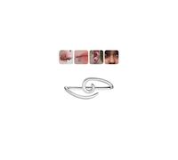 BodyAce Piercing de puente de plata de ley 925, anillo de niobio en espiral de 16 g, para labios, cejas, hélice, cartílago, tercer ojo, nariz, aros, Plata de ley