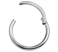 bodyjewellery 1 Anillo DE 16 g con bisagras para segmentos, Titanio, Nariz, Labio, aro, Cartílago, Pezón, Rosca, Septum, Tragus Helix D4WCJ- Tamaño de Púa