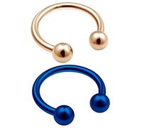 bodyjewellery 2pcs 14g Acero Circular Herradura adelante Cartílago Rook Labio Aros Barbell anodizado Helix Cejas Septum BBHC Pick Tamaño