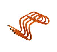 Bodytone Hurdles (5 Uds..)