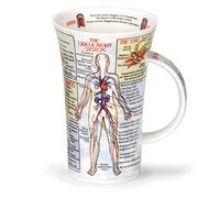 (Bodyworks) - Dunoon Glencoe Fine China Educational BODYWORKS Mug Cup 500ml