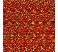 Boehse Onkelz - Gehasst,Verdammt,Vergöttert