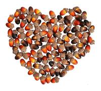 Boerni 50 bellotas artificiales con tapa de bellota natural, bellotas pequeñas falsas para manualidades, hogar, decoración de Navidad, accesorios de fotos