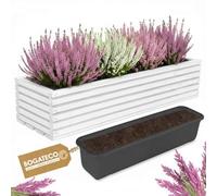 BOGATECO Jardinera de madera | Jardinera | Maceta 64 x 20 x 14,5 cm | Maceta para el hogar jardín balcón terraza | Maceta con inserto de plástico | impregnada | Blanco