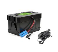 BOGJFC Batería Recargable 24V 20Ah 29.4V Li-Ion Para Coche Infantil Ride-On Bicicleta Eléctrica Patinete Motor Trolling Enchufe Anderson Y DC 21.5x10.7x11.2cm 2Kg