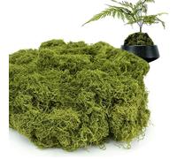 Bogoro Musgo Falso Decorativo 200g - Simulación de Musgo Artificial para Acuario, Coronas, Bodas y Decoración del Hogar