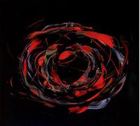 Bogus Order - Zen Brakes - Volumen 2