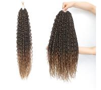 Boho Senegalese Twist Crochet Hair 8 Packs Pre Looped Goddess Island Passion Twist Crochet Braids Hair Extensions for Black Women (1B/30/27, 22inch)