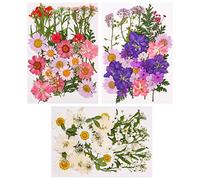 Bohoman Flores Secas, 105 PCS Prensado Flores Secas Verdaderas Flores Secas DIY Dried Pressed Flowers Natural Mixtos Juego de Pétalos de Flores Prensados para Uñas DIY Velas Decoraciones Scrapbooking