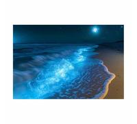 BOHUO Cuadros Decoracion Salon Océano Ola Pedazo Lienzos decorativos Junto al mar Pintura Poster Imagen Foto Cuadros Decorativos Salon Dormitorios Comedor Pasillo（Blau 2-60x80cm Sin marco