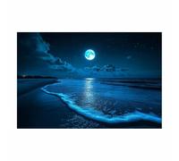 BOHUO Grande Paisaje Marino al Atardecer Cuadros Decoracion Salon Noche Cuadro Moderno Dormitorio Cocina Cuadros Pared Imágenes Wall Art Prints Decor Grande XXL（Blau 59-30x45cm Sin marco