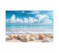 BOHUO Lienzos decorativos Playa océano Junto al mar decoración moderna para salón dormitorio - cuadros paisajísticos naturales（Blau 69-60x80cm Sin marco